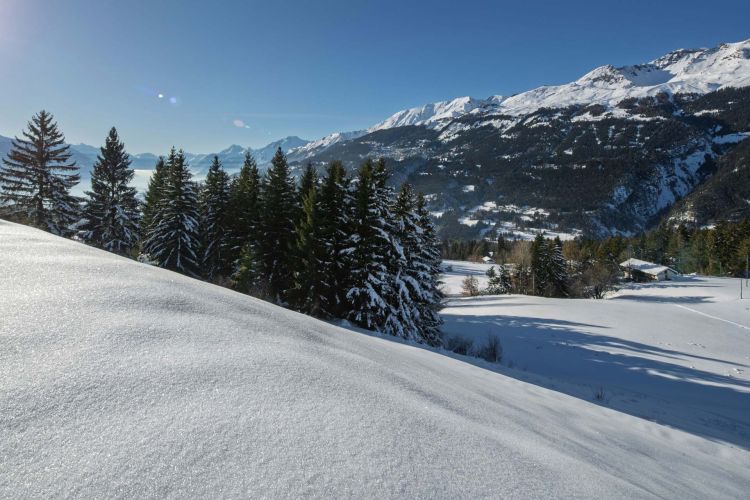 etoiledeneige-exte-8